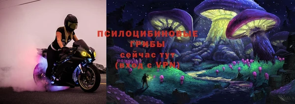 гашик Верхний Тагил