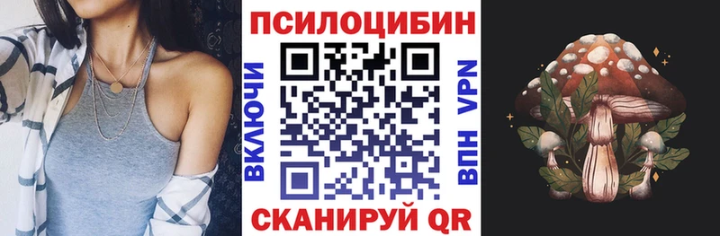 Купить закладки  Волчанск  Галлюциногенные грибы Cubensis 
